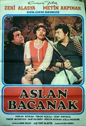Aslan Bacanak 1977 film izle